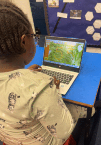 Blind Computer Education